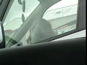 La tête rouge du bas ...
