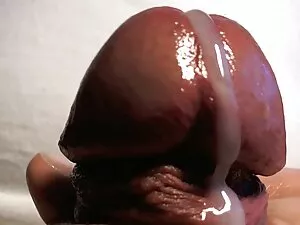 Cocksuckerzclub rega ...