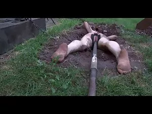 lezbian jeune film c ...