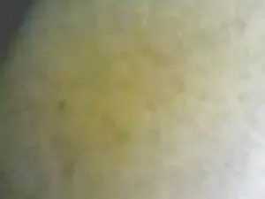 la secrétaire coquin ...