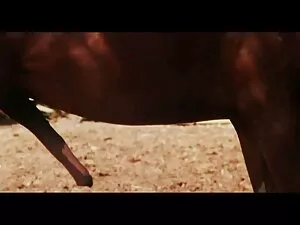 brune bien roulée st ...